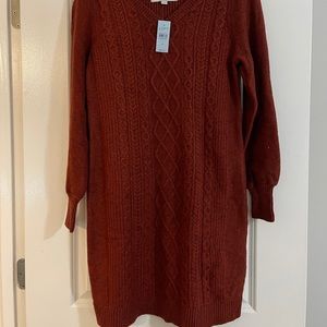 Sweater dress NWT
